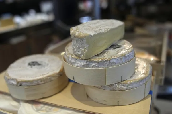 img of 别动法国的卡芒贝尔奶酪：欧盟议会将投票保护其传统包装方式