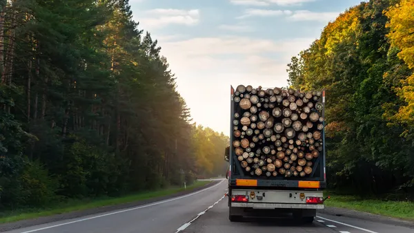 img of 不列颠哥伦比亚省采取措施减少原木出口，提升更高附加值的木材制造业