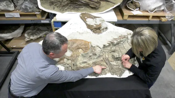 img of 阿尔伯塔州发现恐龙化石内保存的胃内容物