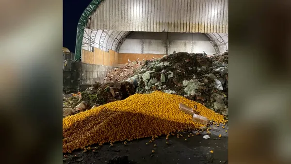 img of 北温哥华垃圾场的橙子堆引发食物浪费担忧