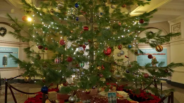 img of 不列颠哥伦比亚省议会'查理·布朗'圣诞树的背后故事