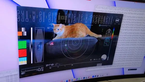 img of NASA激光信息传递：将名为Taters的猫的视频传回地球，引起轰动