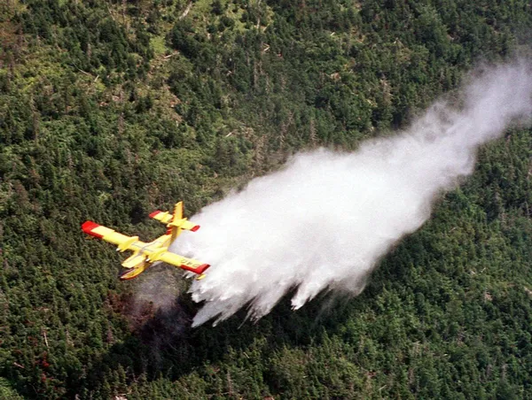 img of 加拿大的水上轰炸机能应对气候变化引发的野火吗？