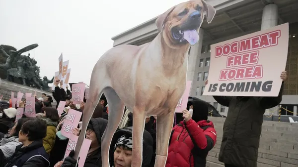 img of 韩国议会通过禁止生产和销售狗肉的里程碑性法案